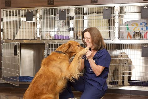 cnc kennel assistant|Kennel Assistant: A Guide to This Animal Care Job .